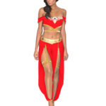 Fantezi Kırmızı Gold Dansöz Kostümü