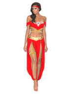 Fantezi Kırmızı Gold Dansöz Kostümü